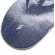 Shape Tropicalients - Filipe Ortiz