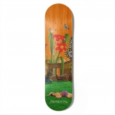 Shape Fndmental - Serenity - Laranja